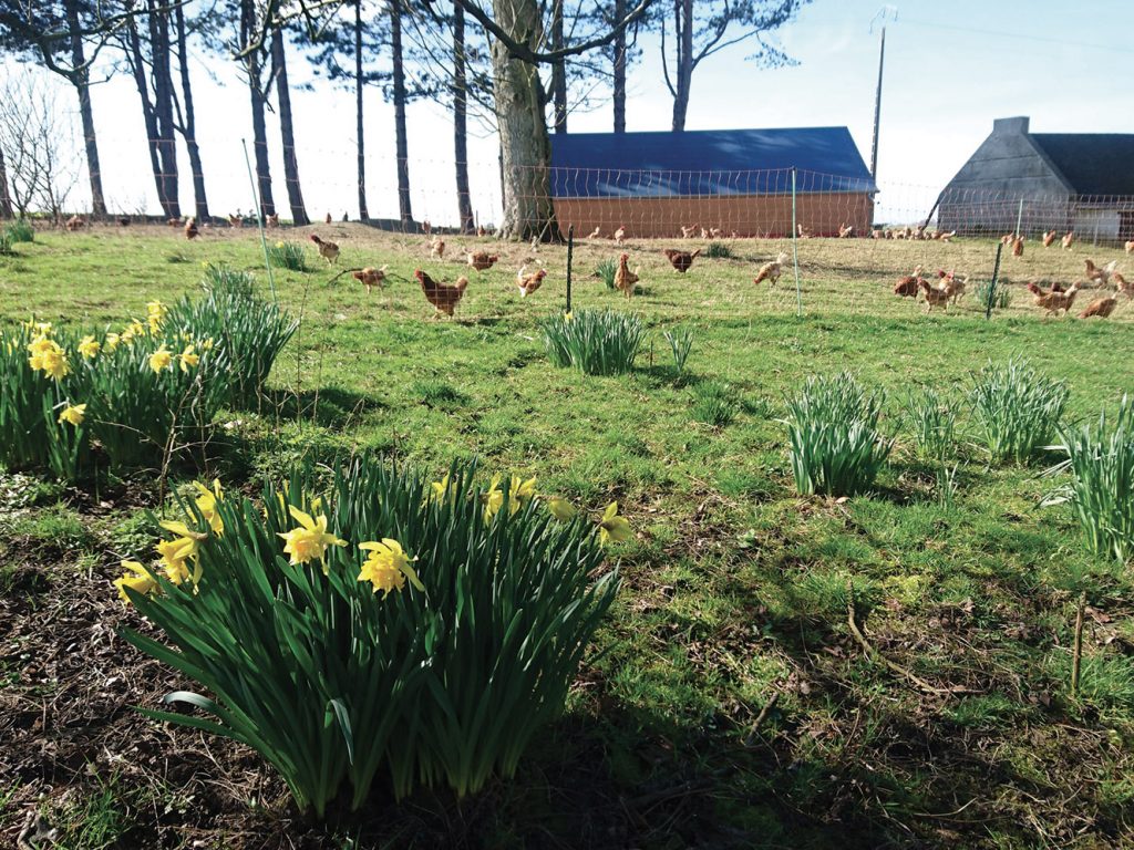 Ferme de la Hulotte
