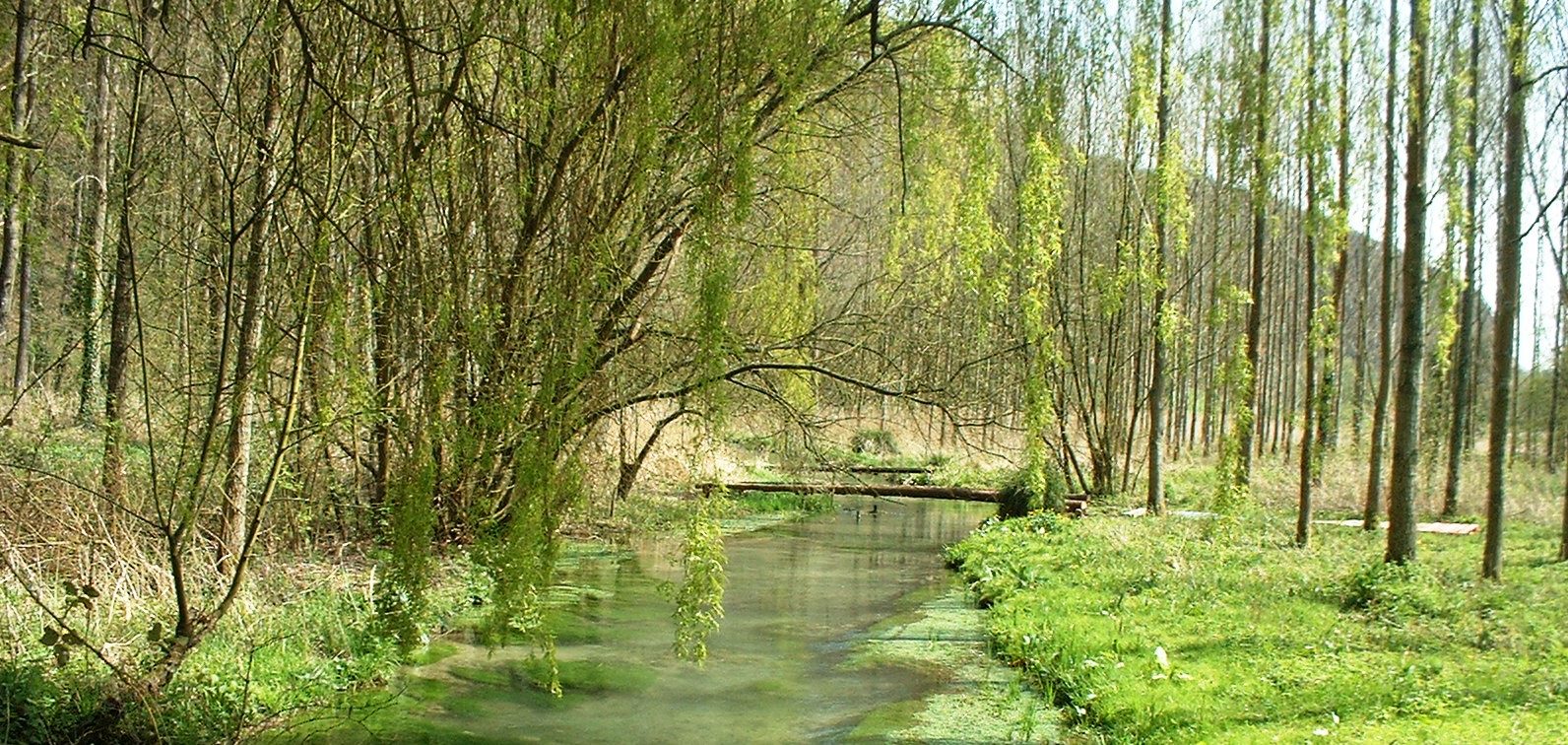 Bec De Mortagne 002