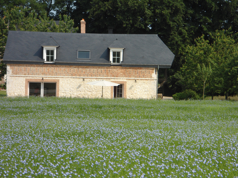 Fleurs de Caux