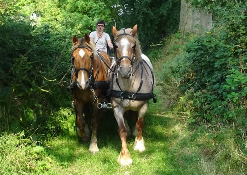 LES HORSAINS 2