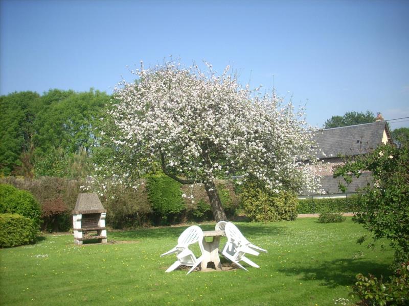 La Petite Maison 6