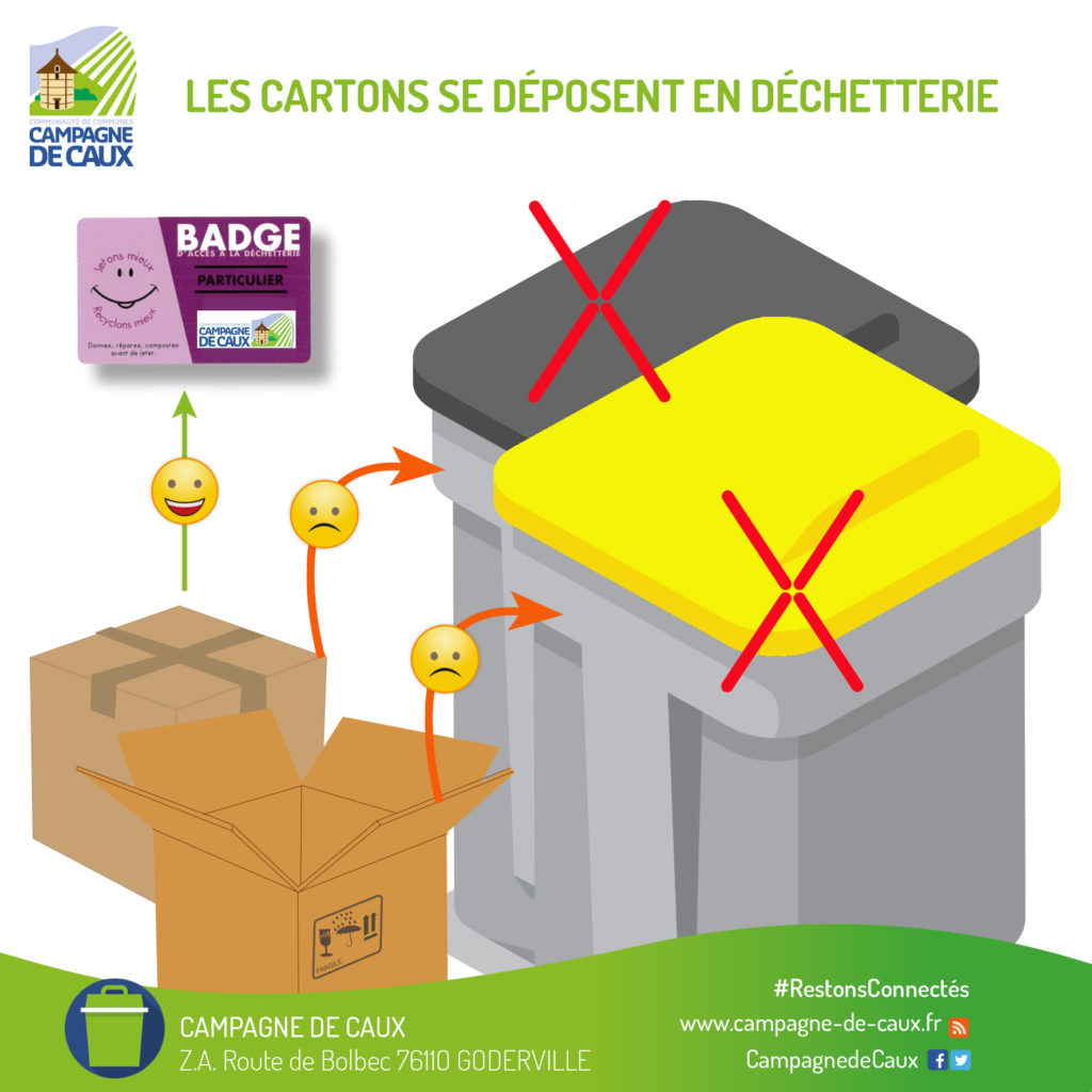 CARTONS