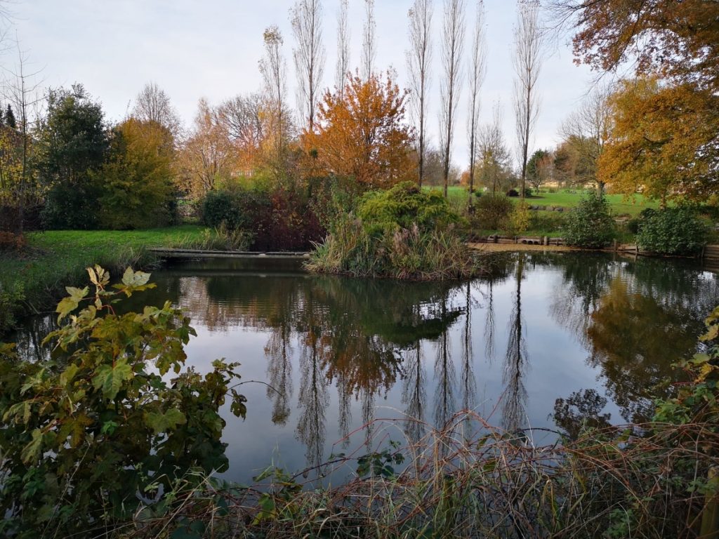 Le Coquelicot Exterieur Plan D Eau