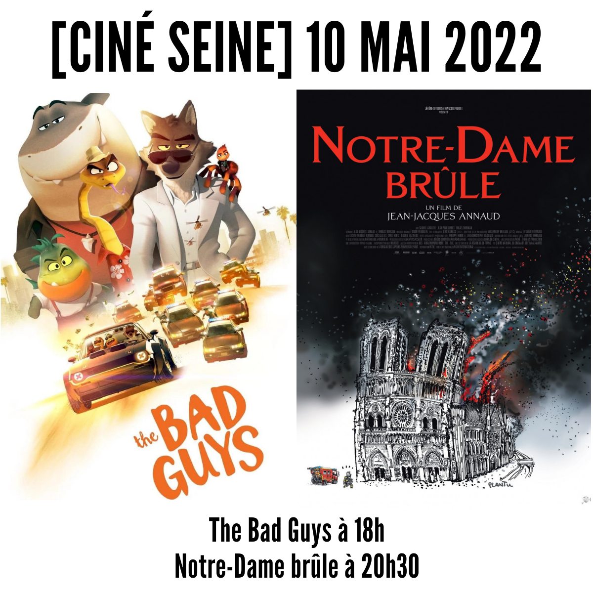 ciné seine la ficelle