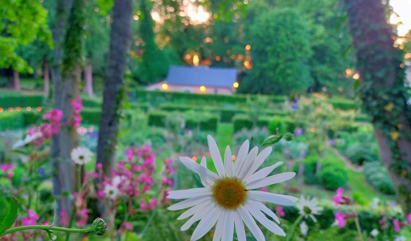 Les "Rendez-vous aux Jardins" au domaine du Grand Daubeuf