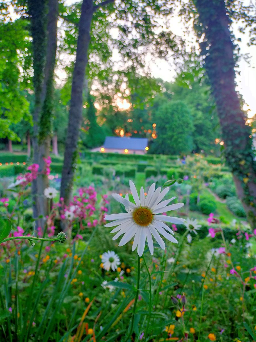 RDV Domaine du Grand Daubef