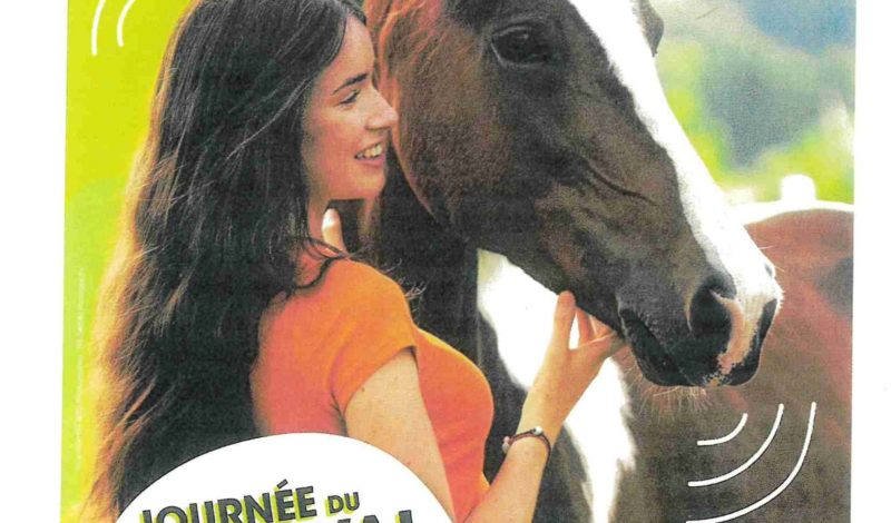 Journée du Cheval à La Championnerie