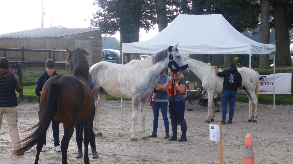 Endurance Equestre des clos-masures