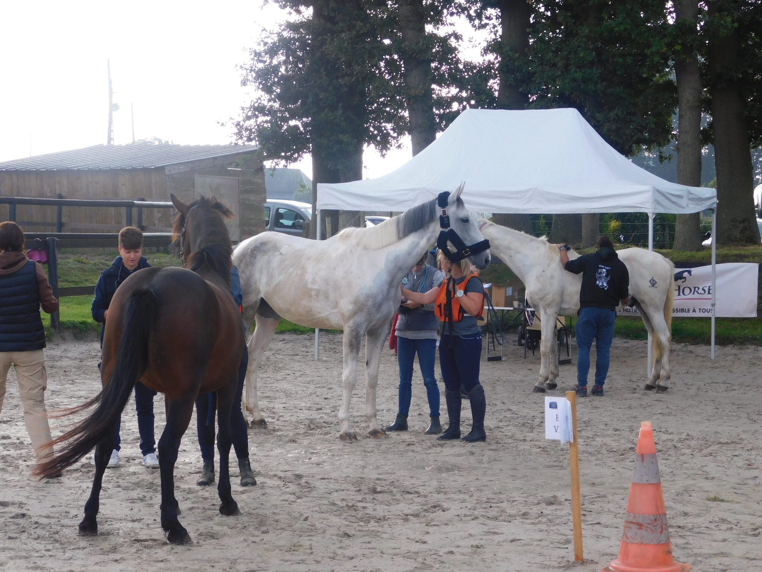 Endurance Equestre des clos-masures