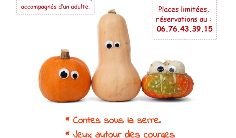 Animation "Une citrouille vaut mieux qu'un carrosse !"