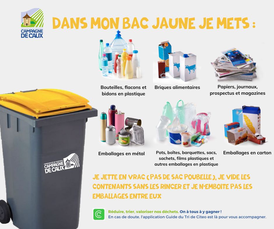 Dans Mon Bac Jaune Je Mets (2)
