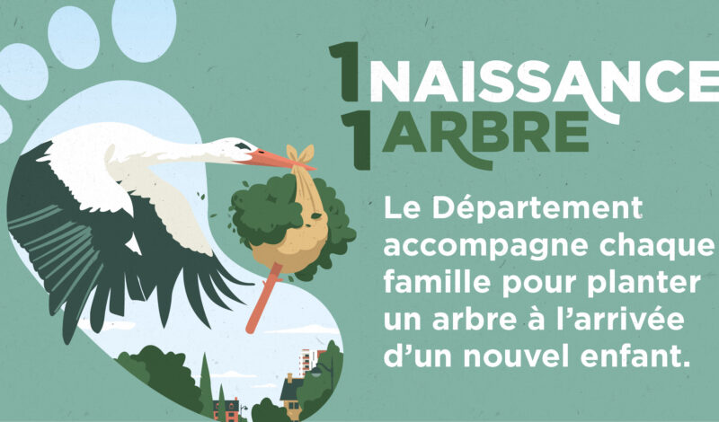 1 Naissance 1 Arbre offert par le Département Seine-Maritime