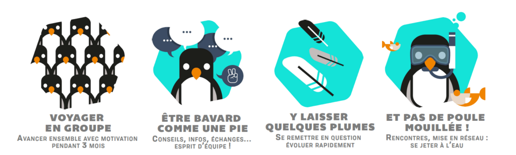 Sterne Programme Le Havre