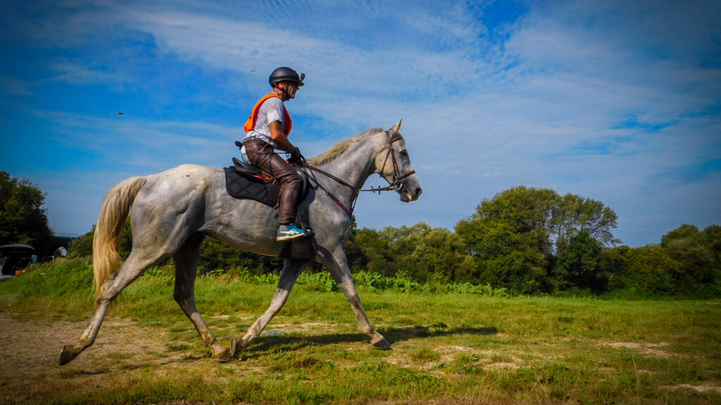 Endurance Equestre Annouvequid Septembre 2023