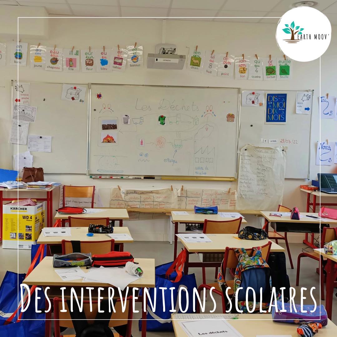 344738700 919572402605140 1226249610161464956 N