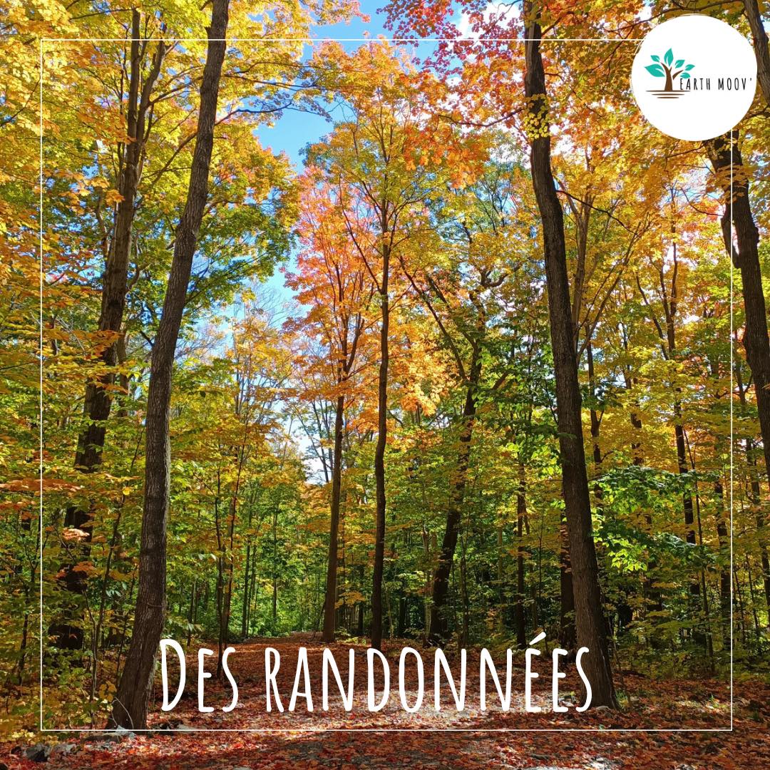 344850980 1282644125964623 5136053186132598033 N