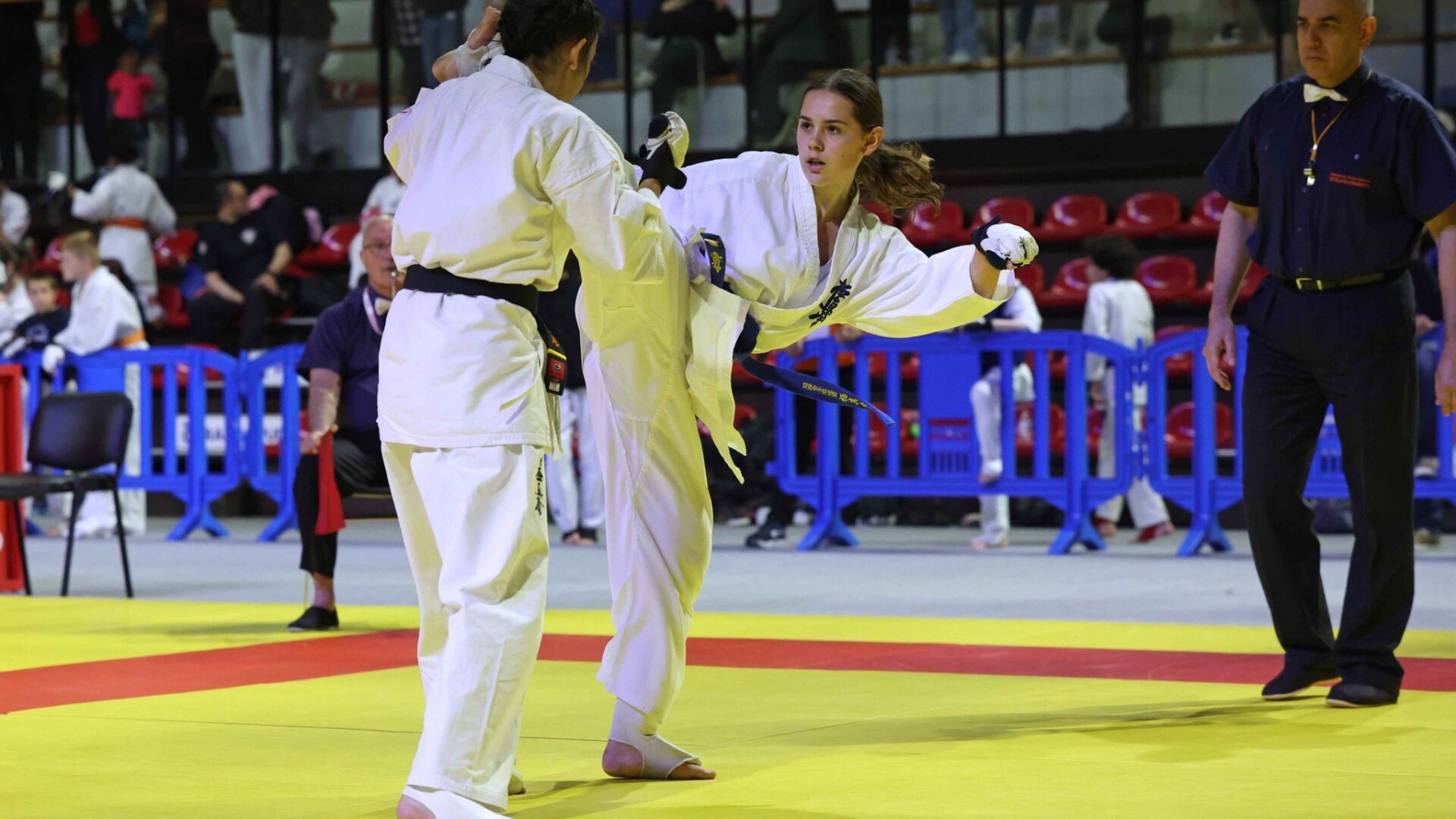 347095500 2713215455485220 1538424243367458218 N