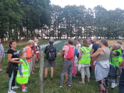 Balade Caux'té Nuit : Contes du potager