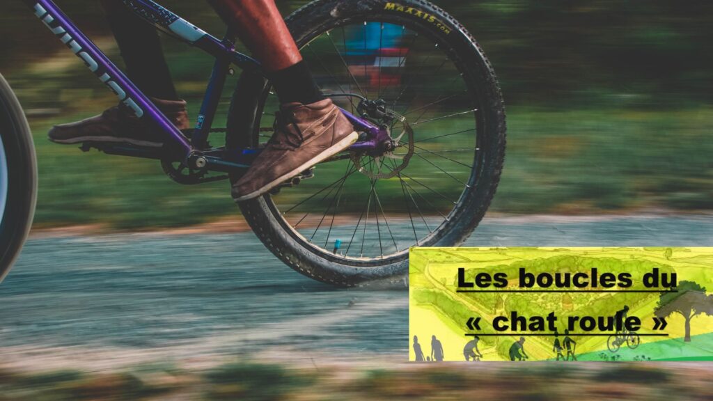 Boucle Du Chat Roule Course VTT