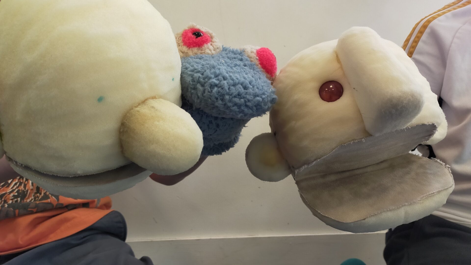 CTEJ Campagne de Caux 2025 Goderville