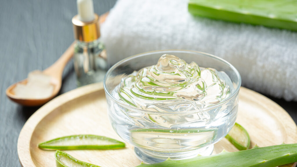 aloe vera piscine plein ciel goderville