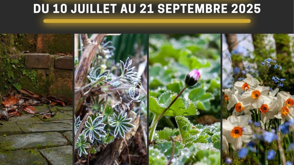 Expo Photo 4 Saisons